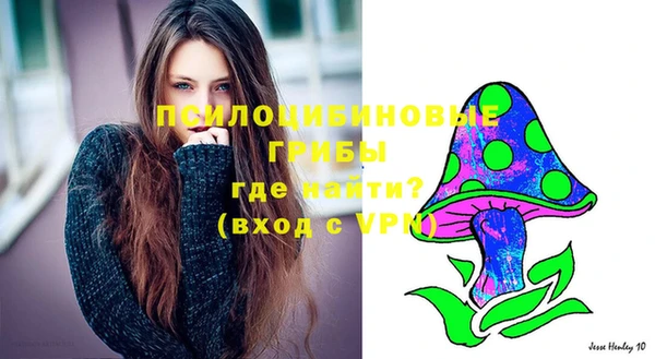 СК Медногорск