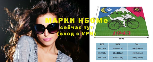 СК Медногорск