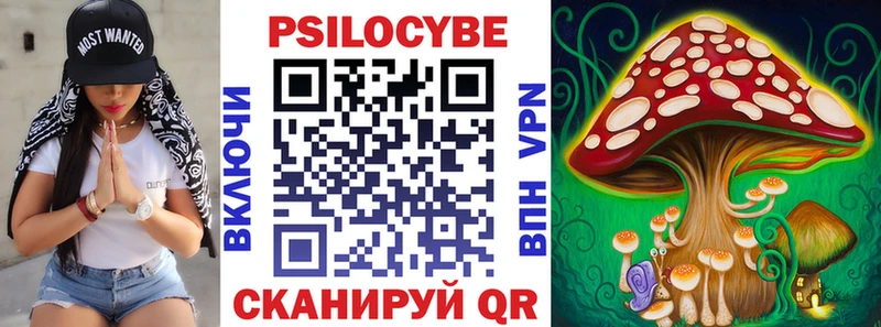 Псилоцибиновые грибы Psilocybine cubensis  Купить закладки  Павловский Посад 